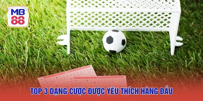 Top 3 dạng cược được yêu thích hàng đầu